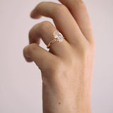 Ellipse Ring
