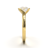 Yellow Gold Floating Frame