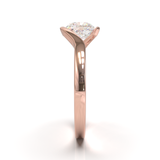 Rose Gold Floating Frame