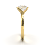 Yellow Gold Floating Frame