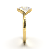 Yellow Gold Floating Frame