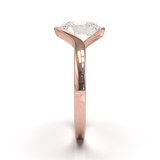 Rose Gold Floating Frame