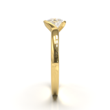 Yellow Gold Floating Frame