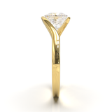 Yellow Gold Floating Frame