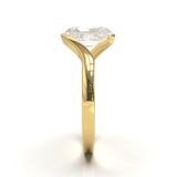 Yellow Gold Floating Frame