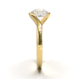 Yellow Gold Floating Frame