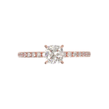 Montura Pavé 0.01 Oro Rosa