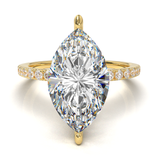 Yellow Gold Half Round Pavé Frame
