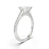 Montura Pavé 0.01 Catedral Oro Blanco