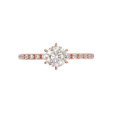 Rose Gold Tiffany Style Pavé Frame