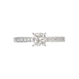 Montura Pavé 33,22,11 Oro Blanco