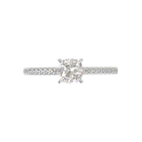 Montura Pavé 0.01 Catedral Oro Blanco