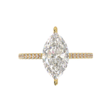 Yellow Gold Cathedral Pavé Frame