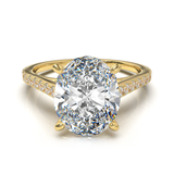 Yellow Gold Cathedral Pavé Frame