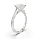 Montura Pavé 0.01 Catedral Oro Blanco