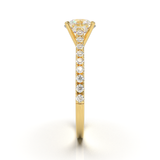 Yellow Gold Cathedral Pavé Frame