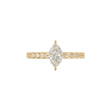 Montura Pavé 0.03 Oro Amarillo