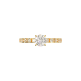 Montura Pavé 0.03 Oro Amarillo