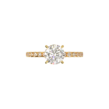 Montura Pavé 0.03 Oro Amarillo