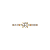 Montura Pavé 0.02 Oro Amarillo