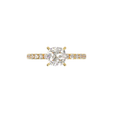 Montura Pavé 0.02 Oro Amarillo