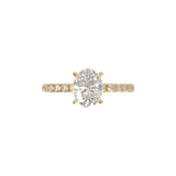 Montura Pavé 0.02 Oro Amarillo