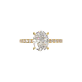 Montura Pavé 0.02 Oro Amarillo