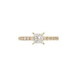 Montura Pavé 0.02 Oro Amarillo