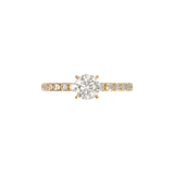Montura Pavé 0.02 Oro Amarillo