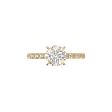 Montura Pavé 0.02 Oro Amarillo