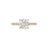 Montura Pavé 0.02 Oro Amarillo