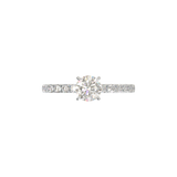 Montura Pavé 0.02 Oro Blanco