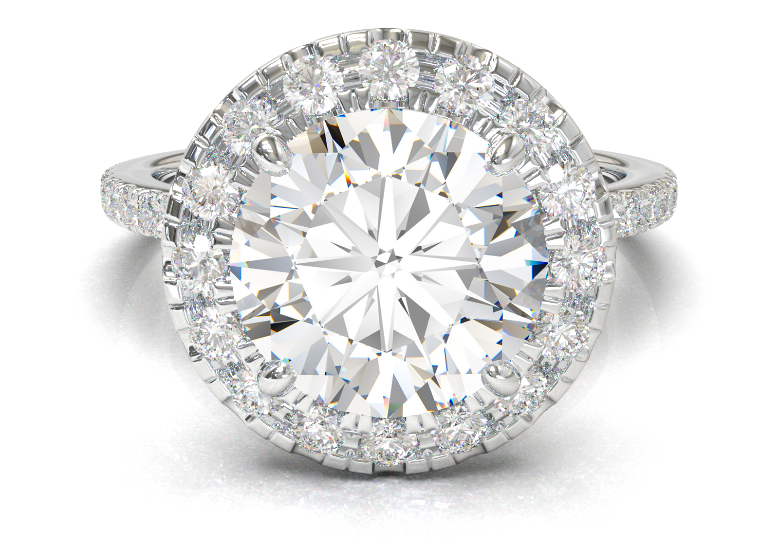 Montura Halo & Pavé Oro Blanco