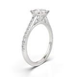 White Gold Cathedral Pavé Frame