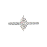White Gold Cathedral Pavé Frame